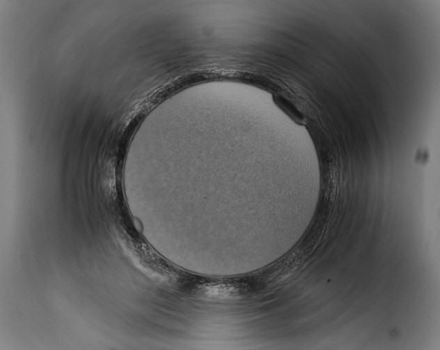 X0000115020500200911231253