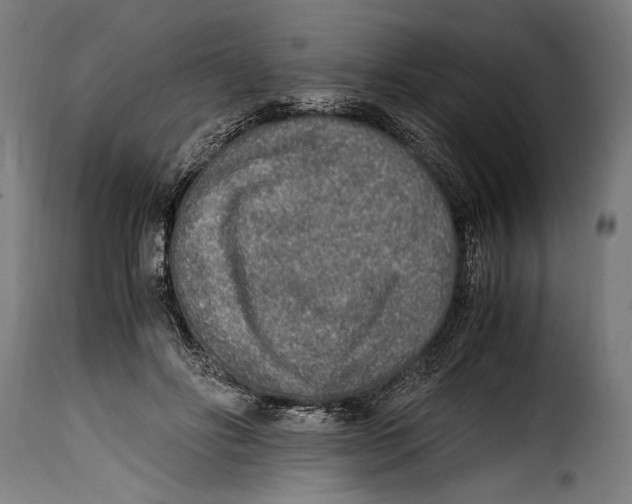 X0000115020502200911231253