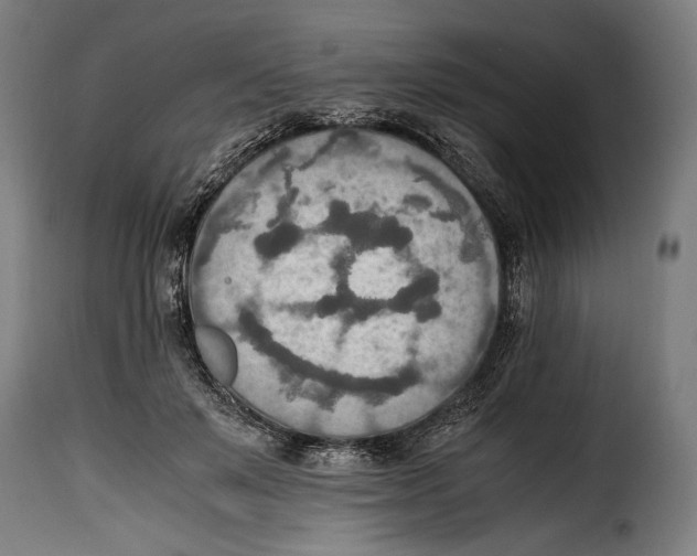 X0000115020503200911231253