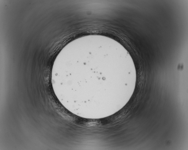 X0000115020505200911231253