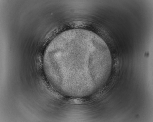 X0000115020506200911231253