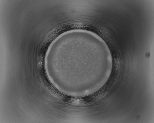 X0000115020507200911231253