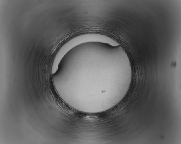 X0000115020508200911231253