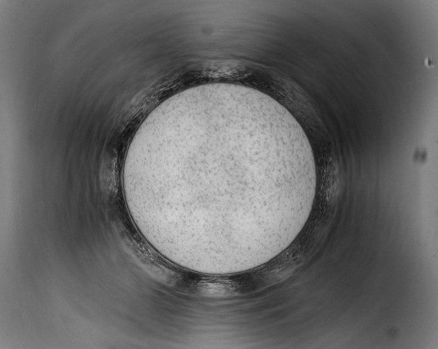 X0000115020510200911231253