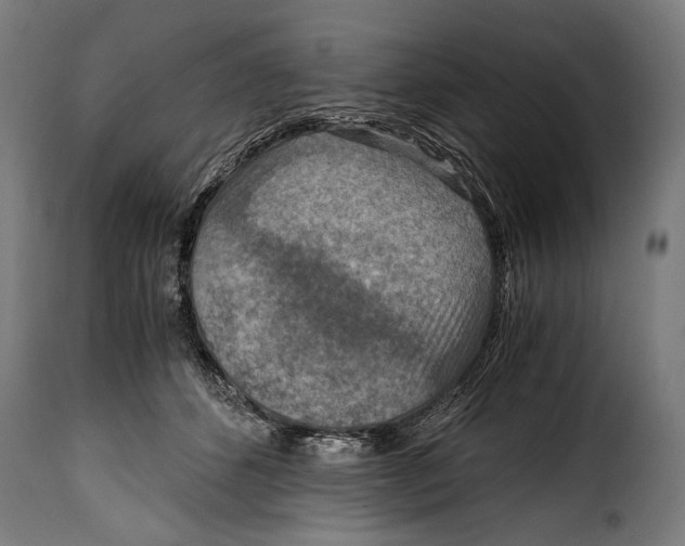 X0000115020512200911231253