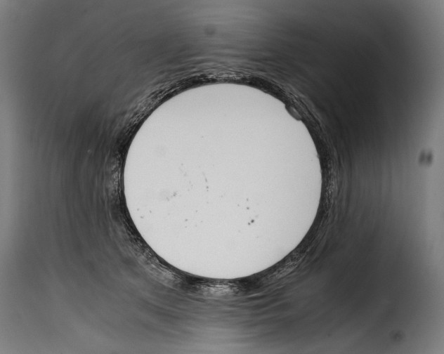 X0000115020513200911231253