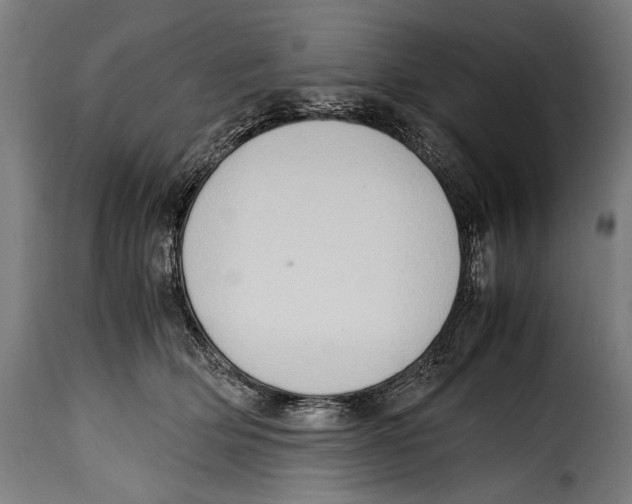 X0000115020514200911231253