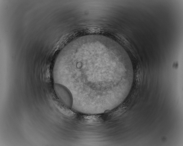 X0000115020516200911231253