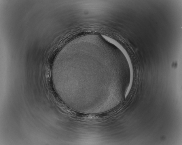 X0000115020517200911231253