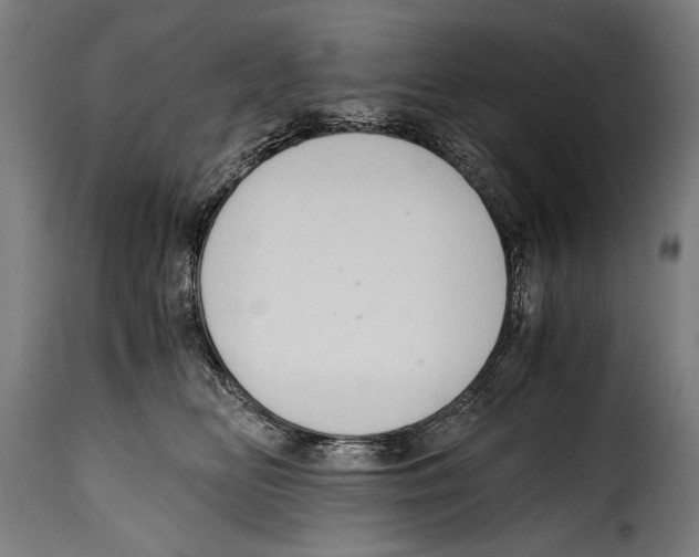 X0000115020518200911231253