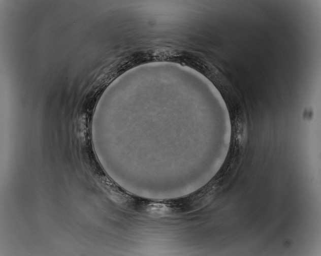 X0000115020519200911231253