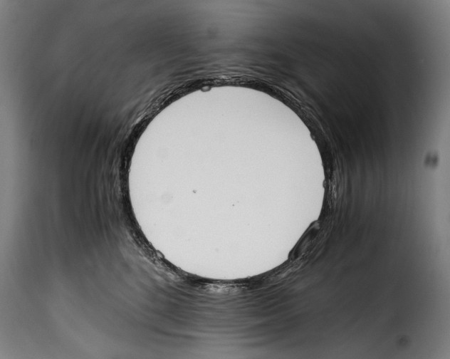 X0000115020520200911231253