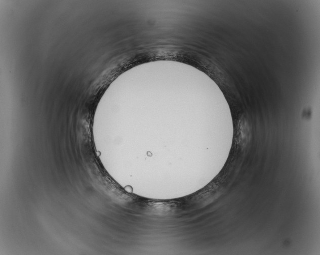 X0000115020522200911231253