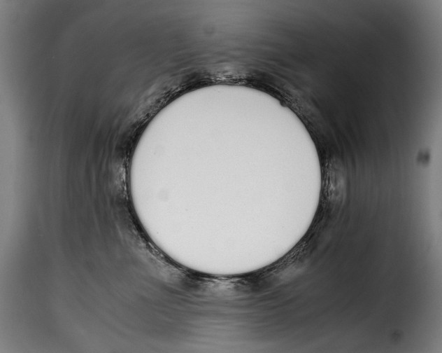 X0000115020523200911231253