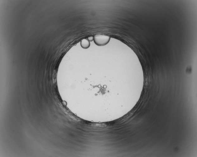 X0000115020525200911231253