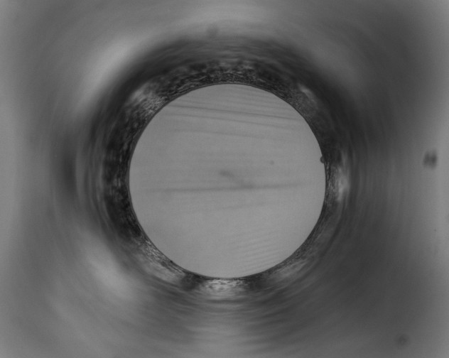 X0000115020526200911231253