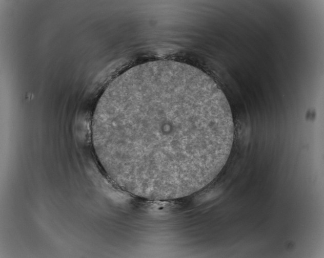 X0000115020527200911231253