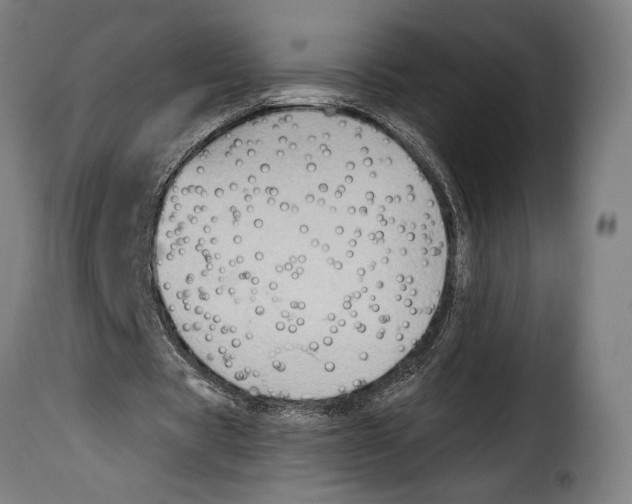 X0000115020529200911231252