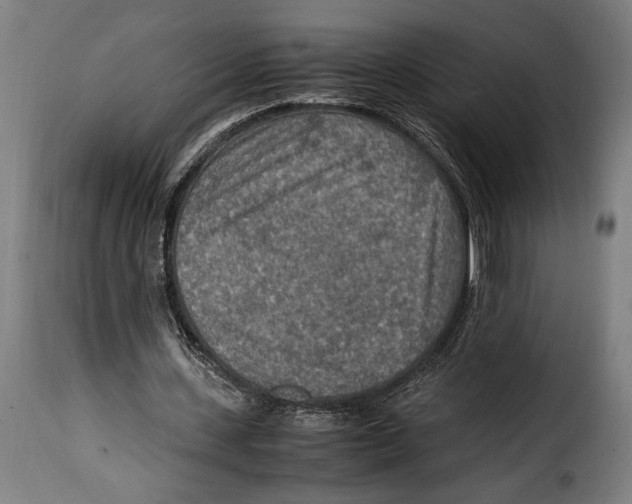 X0000115020531200911231252