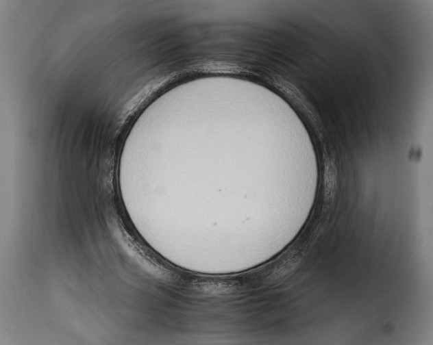 X0000115020533200911231252