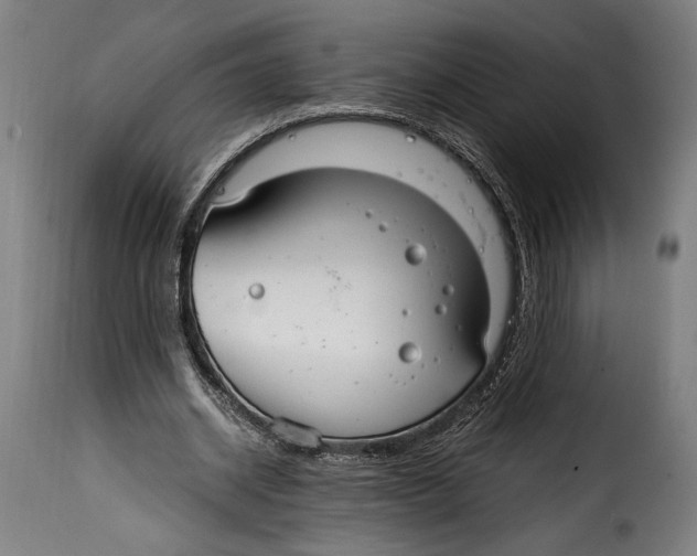 X0000115020534200911231252