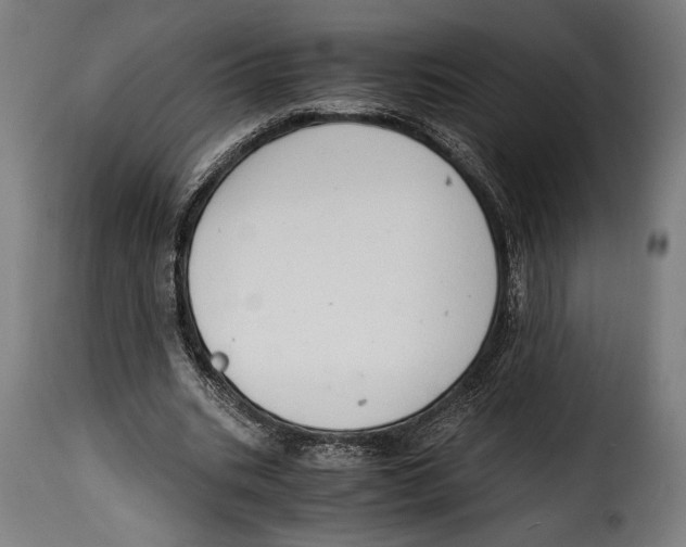 X0000115020535200911231252