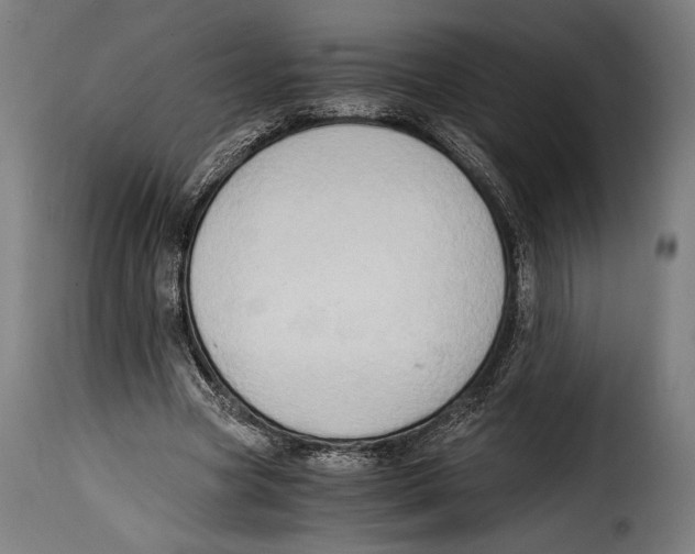 X0000115020537200911231252