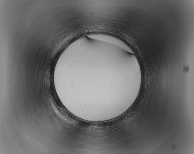 X0000115020538200911231252