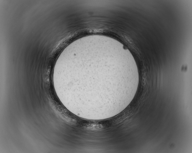 X0000115020543200911231252