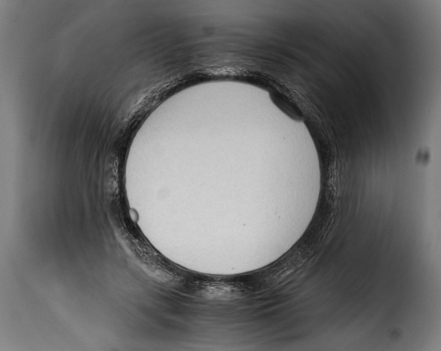 X0000115020547200911231253