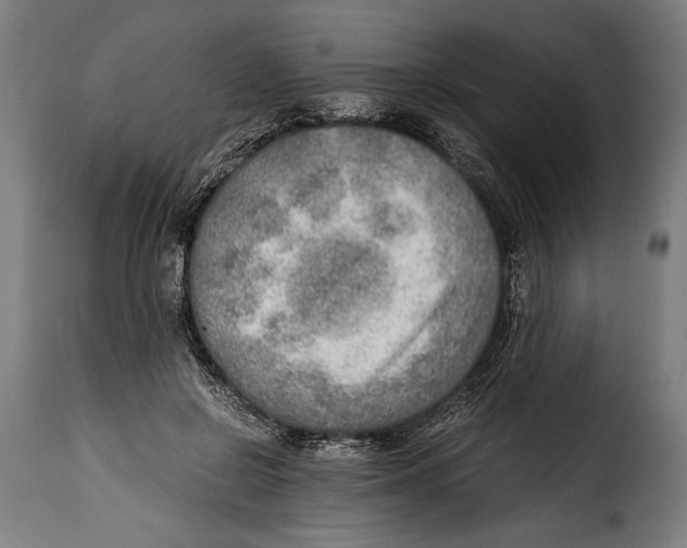 X0000115020550200911231253