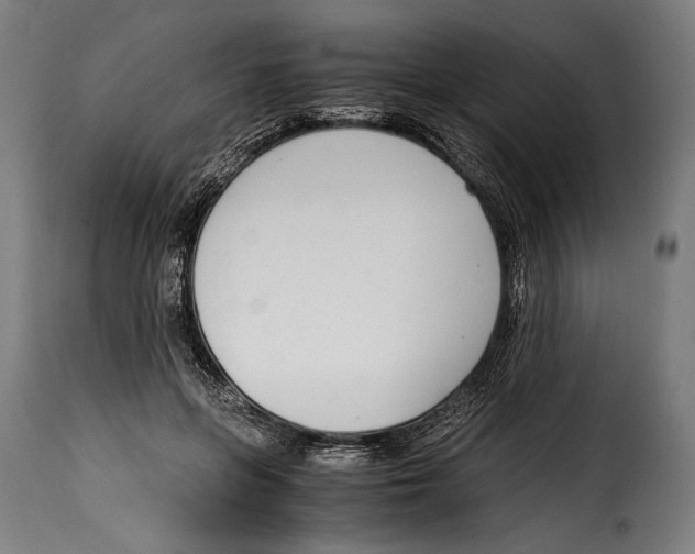 X0000115020551200911231253