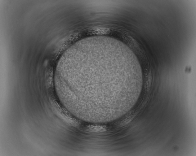 X0000115020553200911231253