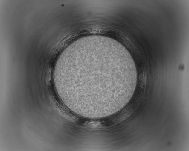 X0000115020554200911231253