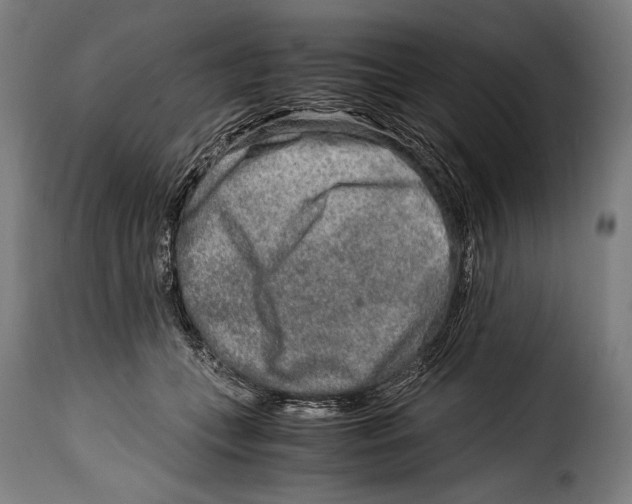 X0000115020559200911231253