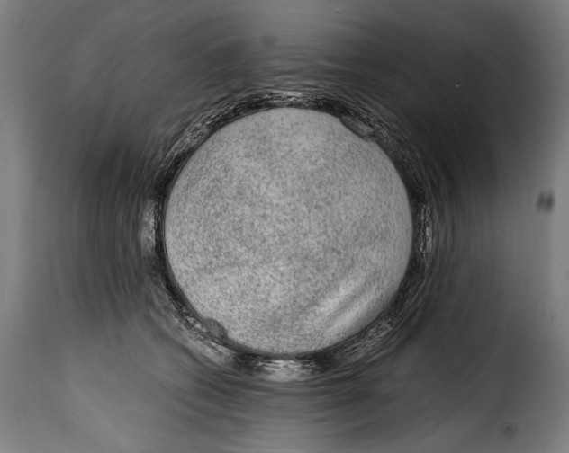 X0000115020562200911231253