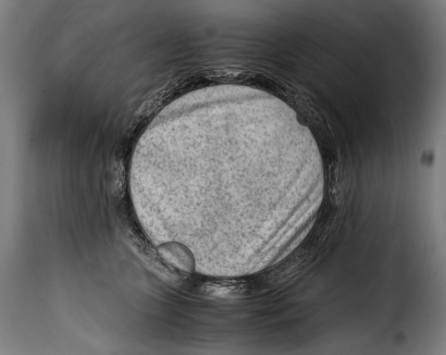 X0000115020563200911231253