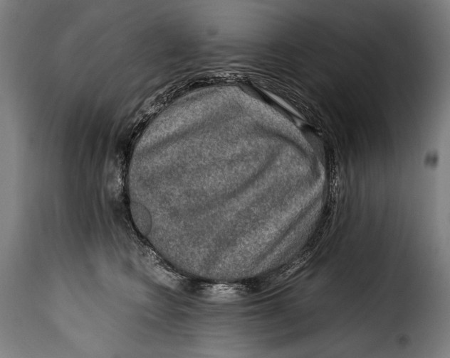 X0000115020566200911231253