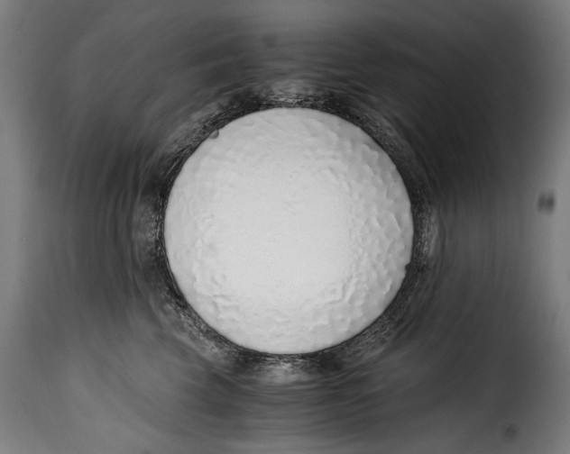 X0000115020569200911231253