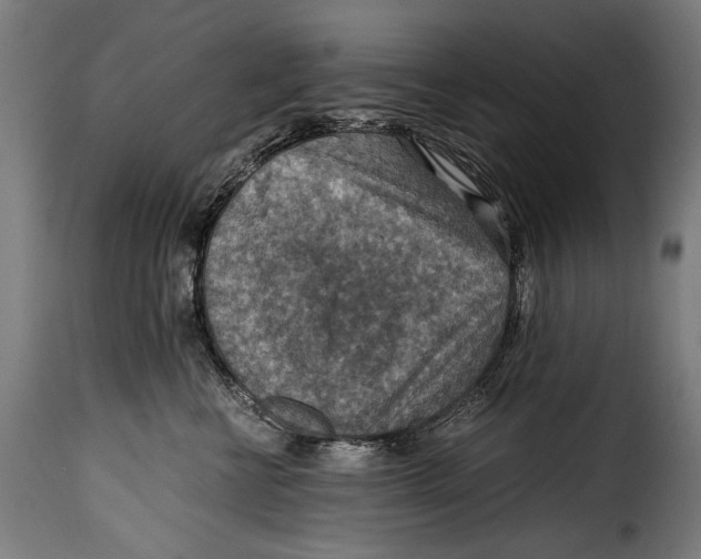 X0000115020570200911231253