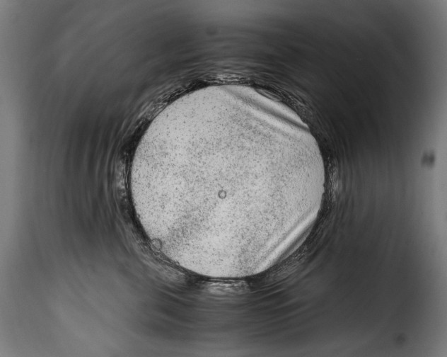 X0000115020571200911231253