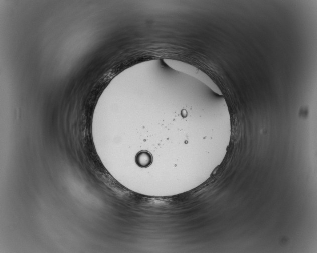 X0000115020573200911231253