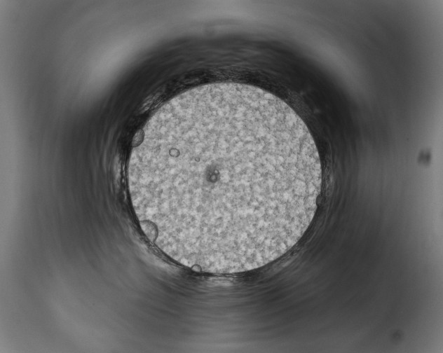 X0000115020574200911231253