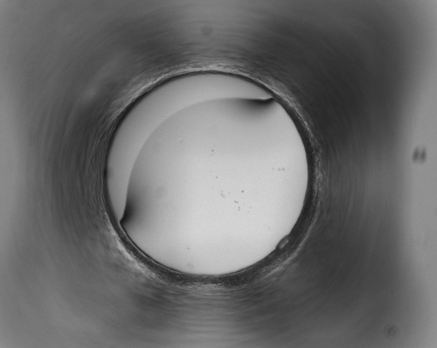 X0000115020577200911231252