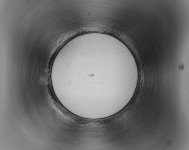 X0000115020578200911231252