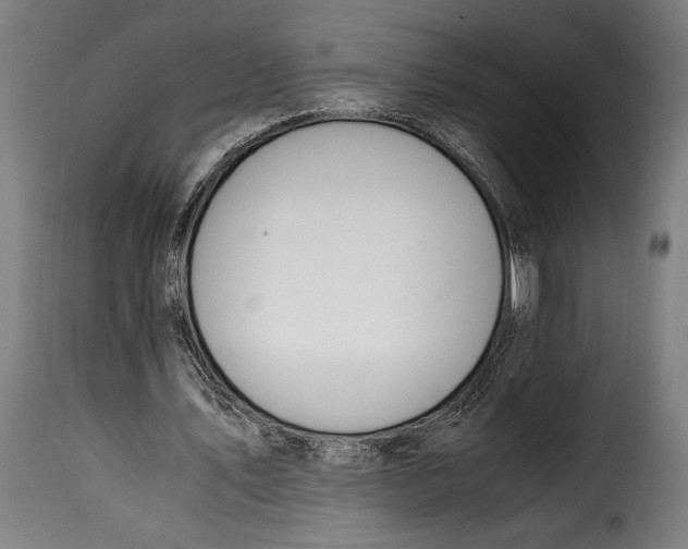 X0000115020579200911231252