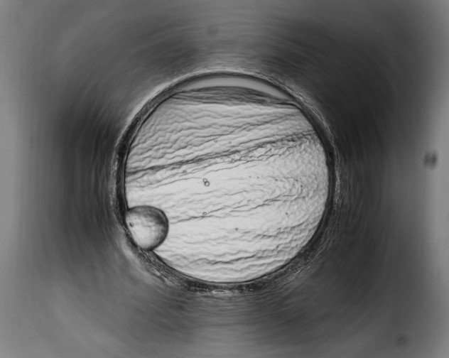 X0000115020580200911231252