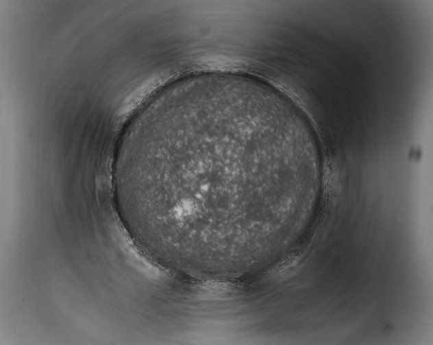 X0000115020581200911231252