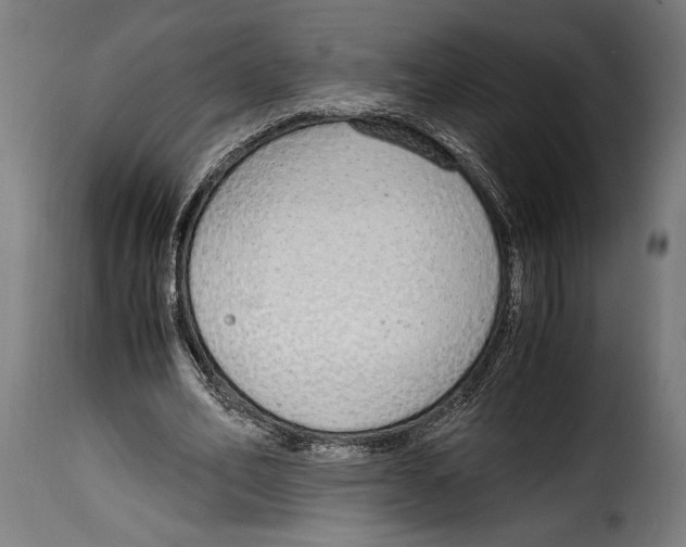 X0000115020582200911231252