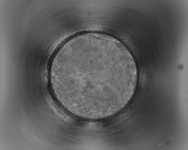 X0000115020584200911231252